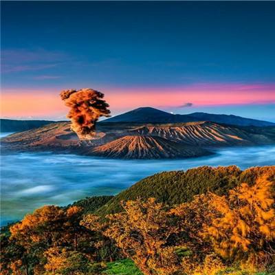 韩国潘达tv直播