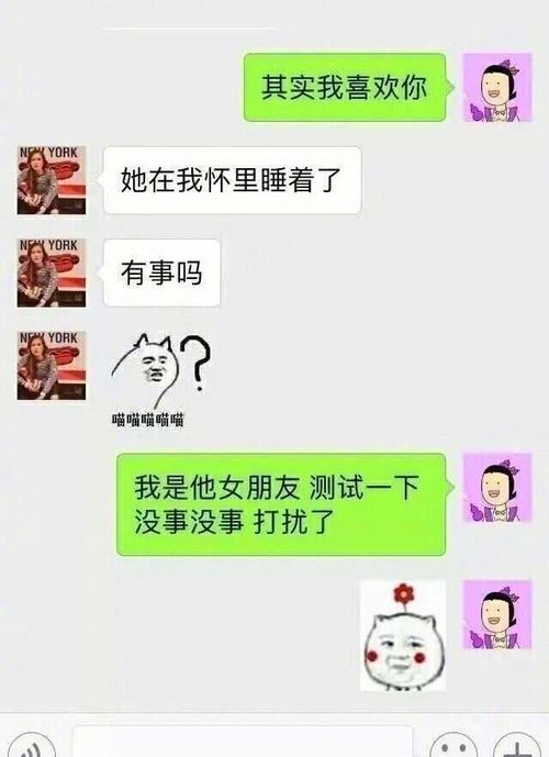 爆笑爆笑趣事top8,小猫咪们,你们是在玩召唤术吗