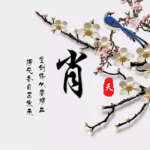 2021你的微信头像该换了,三十几款超赞的3d签名头像,你喜欢吗
