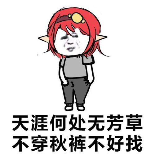 一些秋裤表情包真的是被秋裤玩坏的古诗词