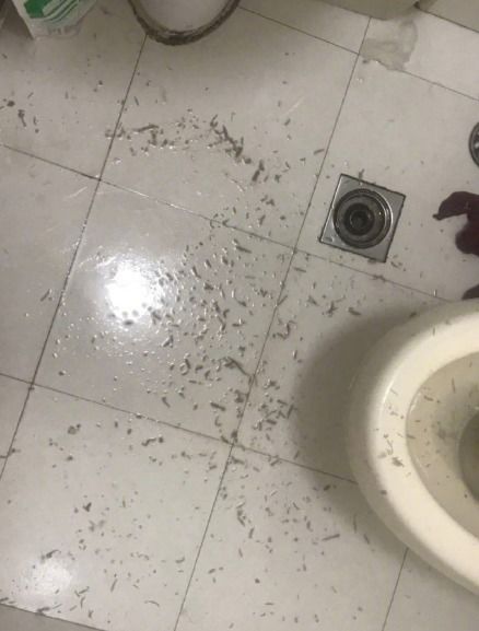 搞笑趣图谁能帮我总结下我闺蜜单身的原因