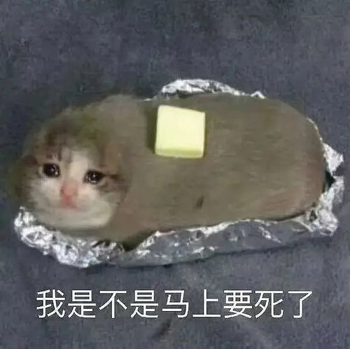 摸鱼被来巡查的督导男看见手机里楠楠涩图并贴...