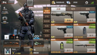 为什么我的烟雾闪光用不了