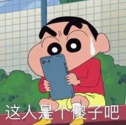 分享一波笑skr人的表情包,自带搞笑属性,聊天开心最重要
