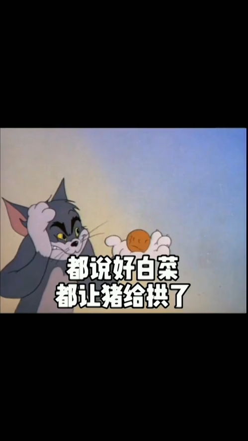 取图主页,你怎么回事现在还挑食了表情包搞笑视频经典段子情侣夫妻猫和老鼠