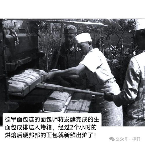 黑色幽默的战争之17面包连队