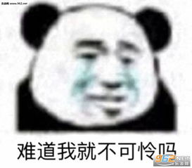 别睡了小肥猪表情包骚累了歇会猫表情包下载乐游网游戏下载