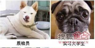 恶搞图施工单位人员表情图