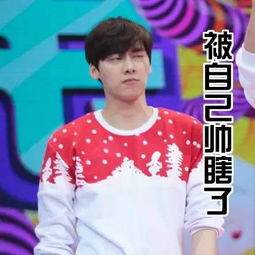 李易峰表情合集