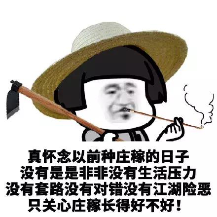 稳定的工作,真的会毁了我们