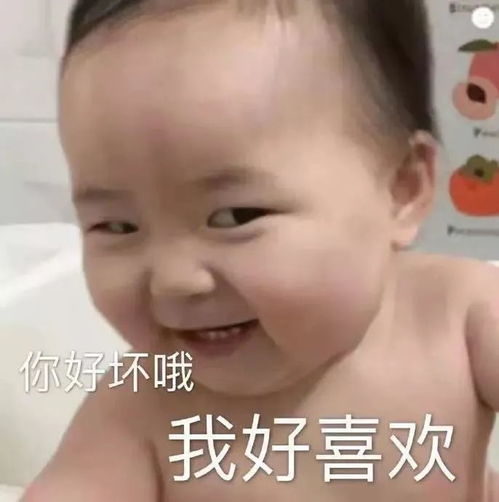 表情包一天天的啥也没干