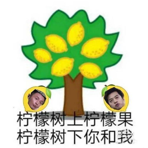 好声音圈粉导师团节目笑点竟然被他承包了