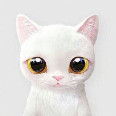 猫狗情侣头像一左一右可爱卖萌一猫一狗搞怪情侣头像