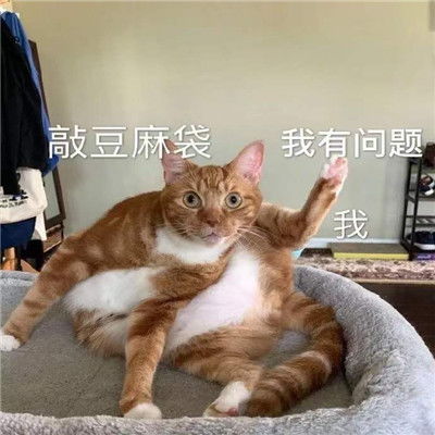 一组超级有趣的搞怪的表情包逗比专用的聊天表情