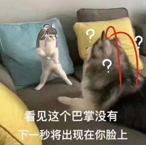 不要靠近天策,会带来不幸剑三奶花被连踩多次,终于想出个奇招