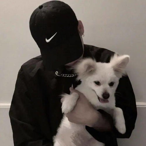 男孩抱着猫的卡通头像