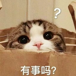 遇变态大佬被抢救的北上男星