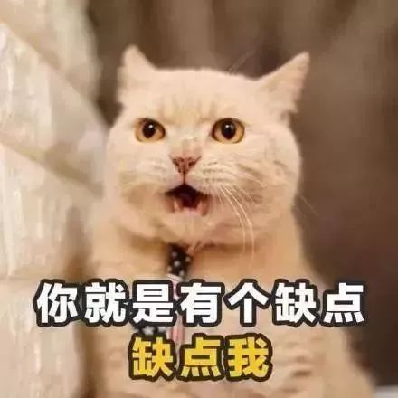 有点土气的石家庄,藏着室内彩虹桥阿凡达的仙境...地址在这