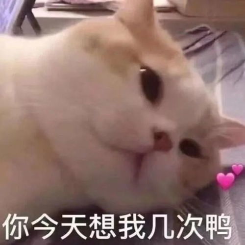 个性好玩表情包大全