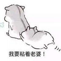 哄老婆搞笑表情包微信头像图片大全