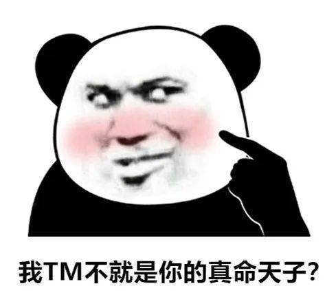 孙一宁王思聪聊天记录表情包,我命油我不油天