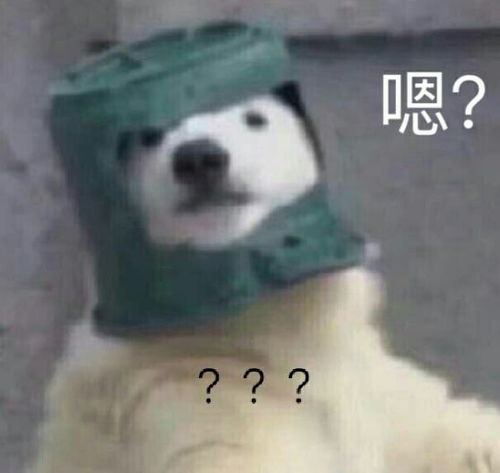 溜出门后,成都一金毛犬头部被刀砍十多公分,鲜血直流,主人好心惊邓先生