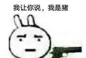抖音说你是猪表情包大全高清无水印版分享