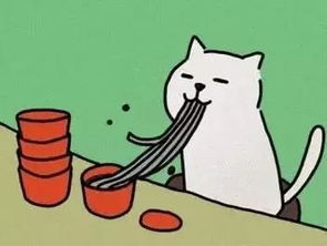 广安佳和传祺