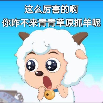 有没有关于羊的表情包