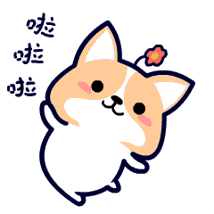 今晚你心心念念的余庆水舞声光秀终于来啦