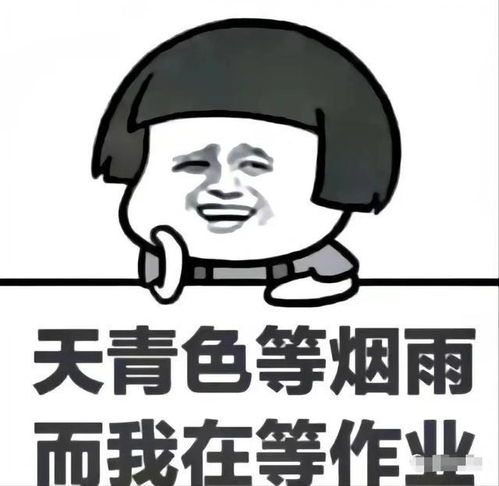 长痘痘表情包搞笑图片交作业