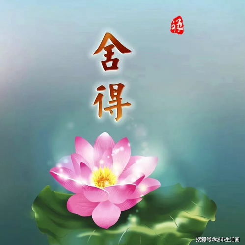不贪为宝,知足常乐