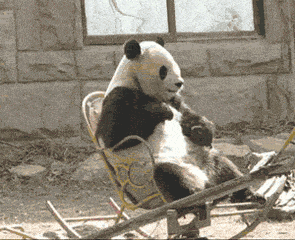 咏春拳搞笑动态表情包