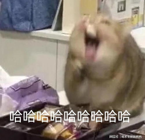 我的八大美德