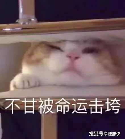 搞笑表情包图片污,想想就不自觉的咧开了嘴