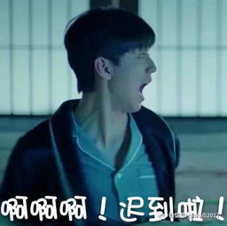 三只怼人表情包搞笑出炉,乐趣多多