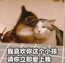斗图表情包不斗图不快乐
