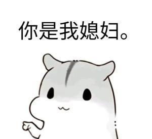 哄老婆表情包老婆大人对不起好喜欢老婆我老婆超级可爱