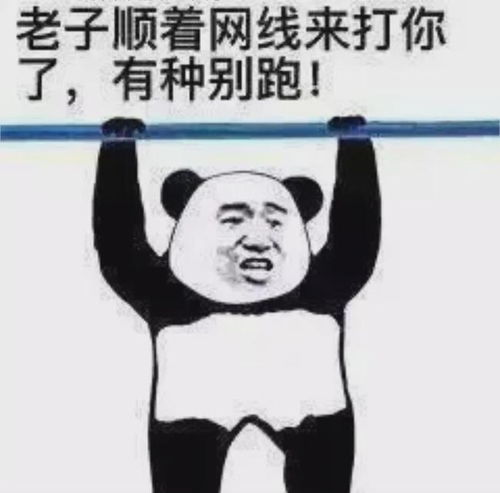 windows的新玩法,学会这几个简单实用操作,你就可以装大神啦