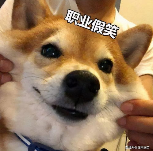 那些说老师收入高的人,为何不去当老师是考不上还是不想考