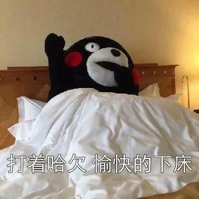 表情包你真的起床过吗