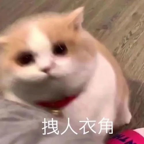 表情包丨表情包动图开车0621期