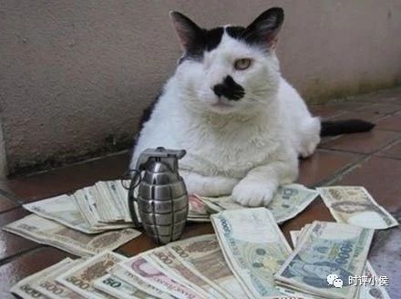 搞笑表情大全猩猩