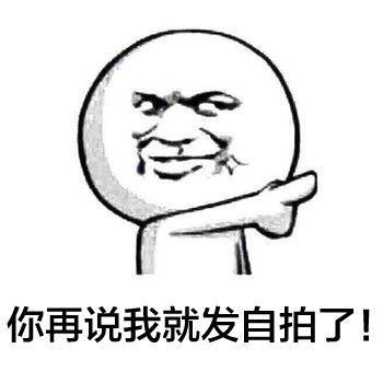 表情包你再说我就发自拍了