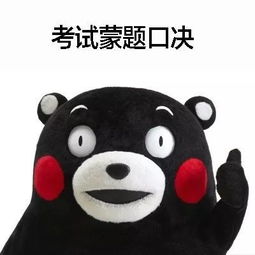 艺术生再给我一次机会英语将成为我的挚爱