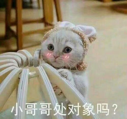 表情包搞笑带字