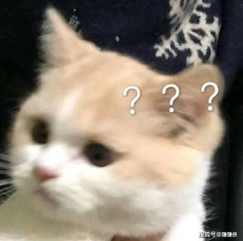 搞笑沙雕表情包图片这谁能顶的住