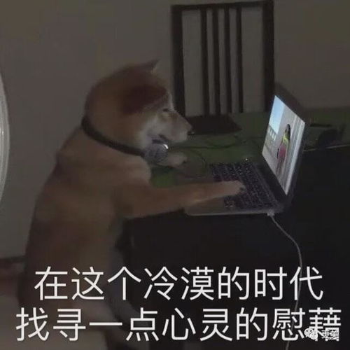 亚洲的顶级神颜,颠倒众生,富可敌国,栽在丑男身上