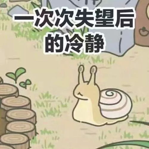 表情包小蛙表情包,可爱炸了搜狐搞笑搜狐网
