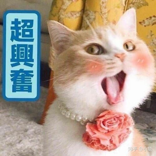 怎样套路男朋友